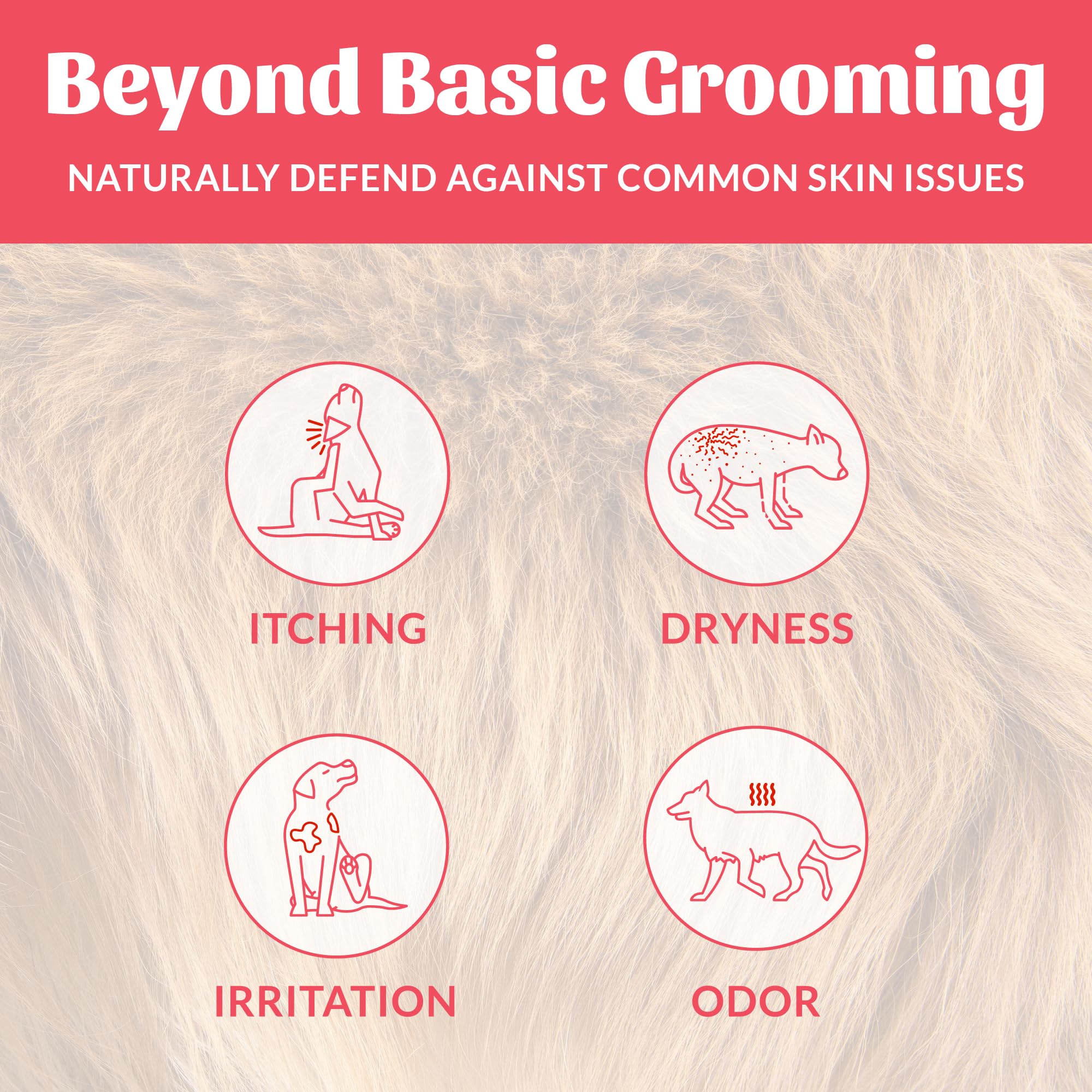 Skout's Honor probiotic dog shampoo bottle closeup – probiotic formula supports skin microbiome balance.