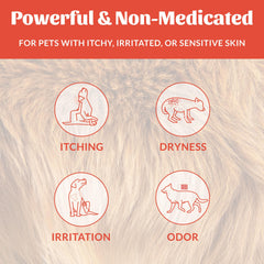 SKOUT'S HONOR avocado oil shampoo image emphasizes nourishing fur and itch relief.