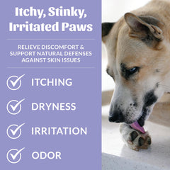 Spray action shown on a dog's paw for gentle application.