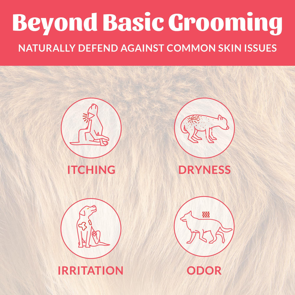 Closeup label on Skout's Honor spray highlighting avocado oil and omega-3 ingredients.