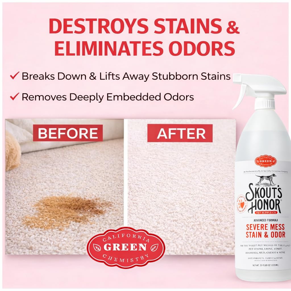 SKOUT'S HONOR Severe Mess penetrates carpet fibers to lift stains