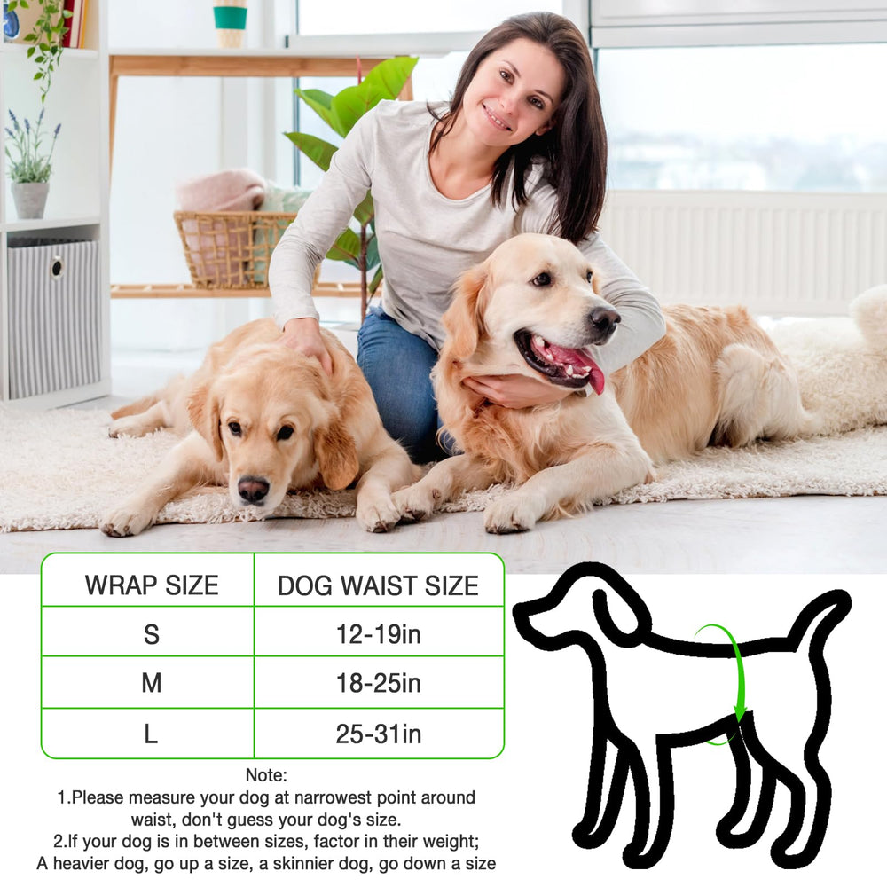 SkyLion small size fits 12–19 inch waists for a snug, secure wear.