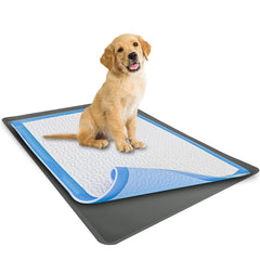 Skywin TidyFriend anti-slip base keeps pads secure during lively play.