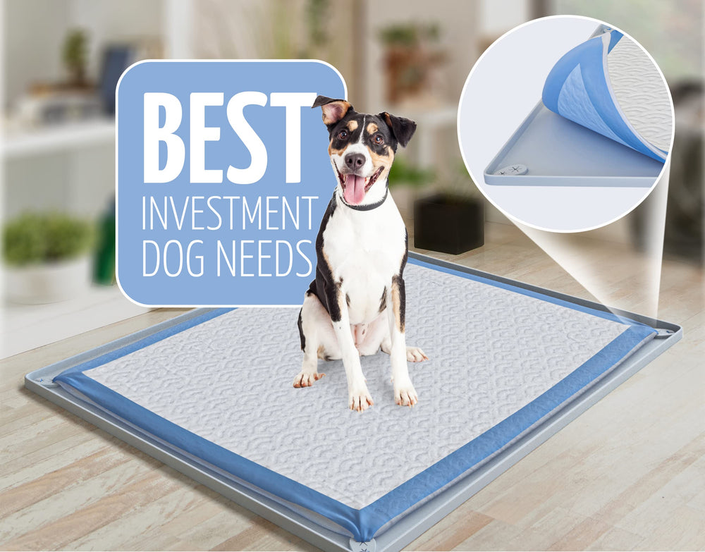 Skywin TidyFriend easy clean silicone tray for quick maintenance