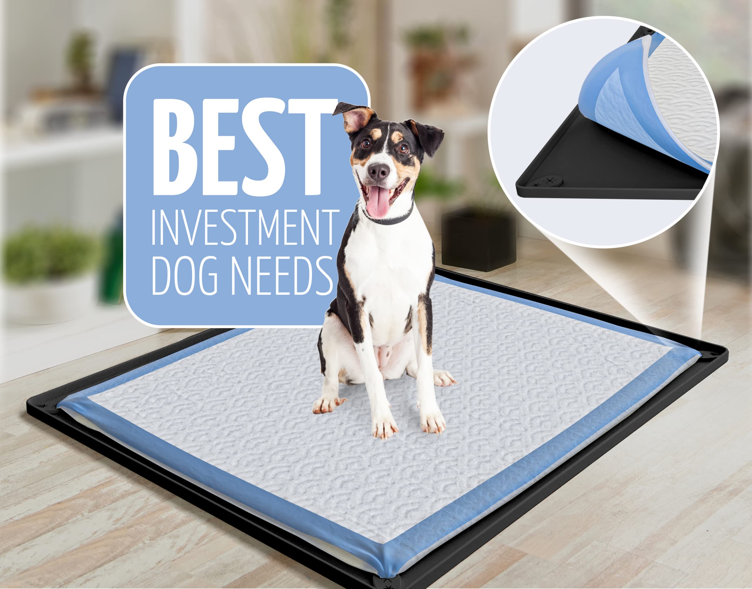 Skywin TidyFriend easy-clean silicone tray simplifies maintenance.