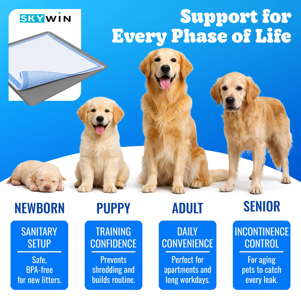 Skywin TidyFriend easy-clean surface simplifies post-training cleanup.