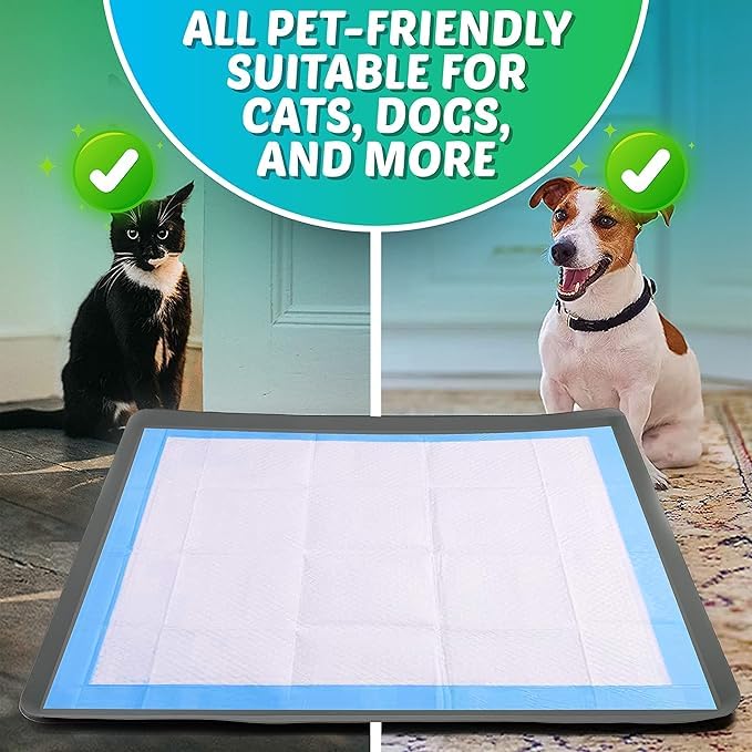 Skywin TidyFriend ideal for apartments and indoor potty routines