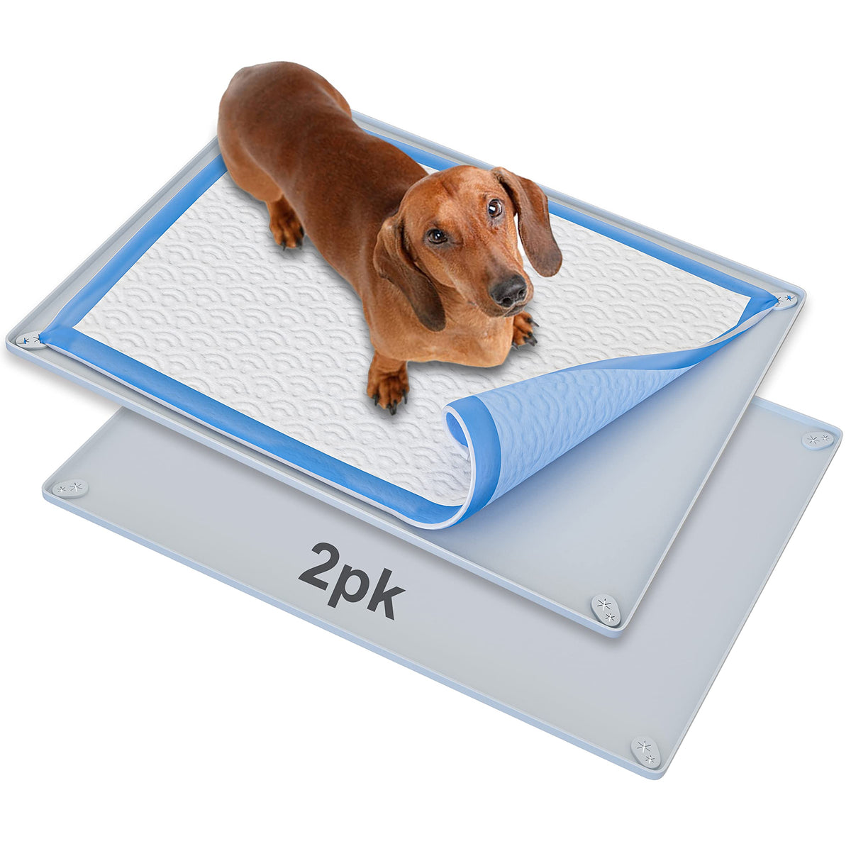 Skywin TidyFriend pee pad holder fits 30 x 23 inches for a mess-free setup