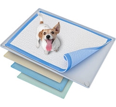 Skywin TidyFriend pee pad holder tray showing edge containment for a clean room