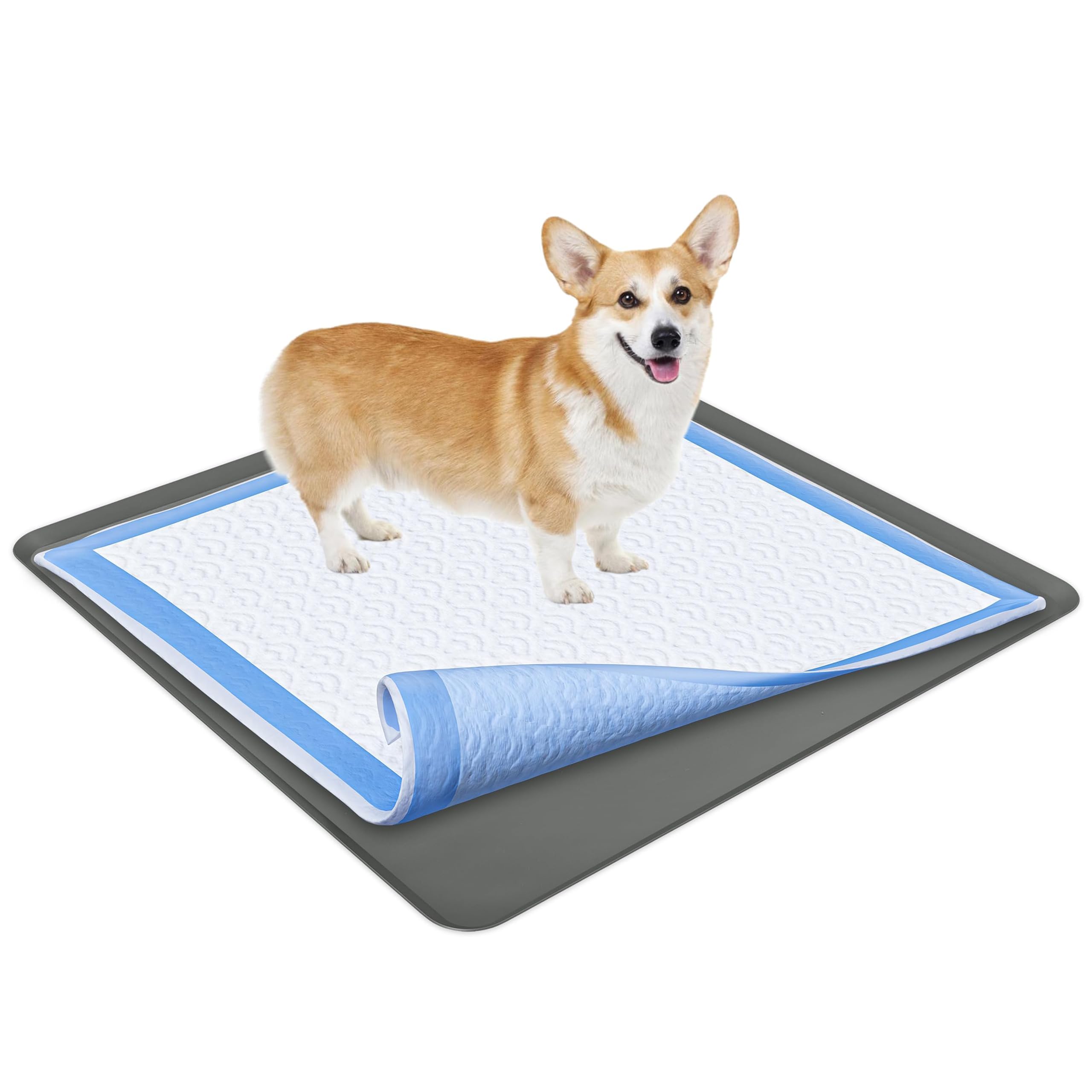 Skywin TidyFriend tray 36x36 fits Wee Pads for quick changes