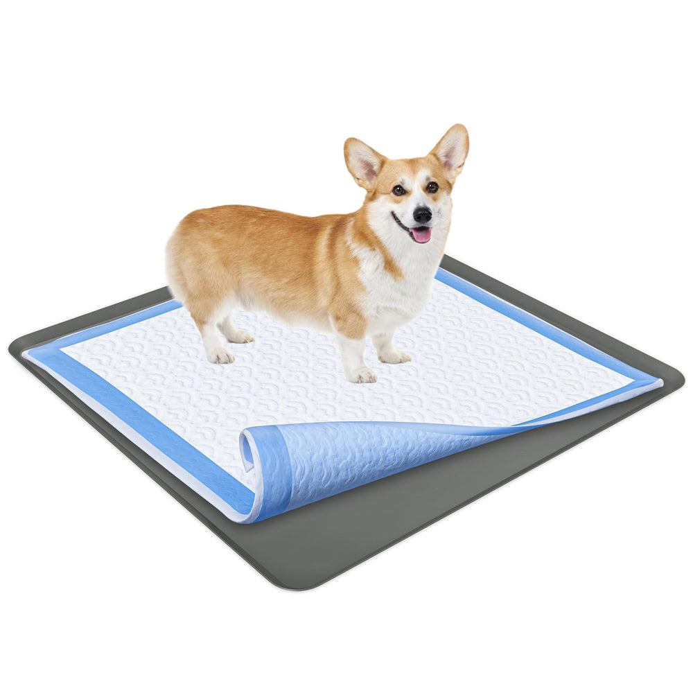 Skywin TidyFriend tray 36x36 fits Wee Pads for quick changes