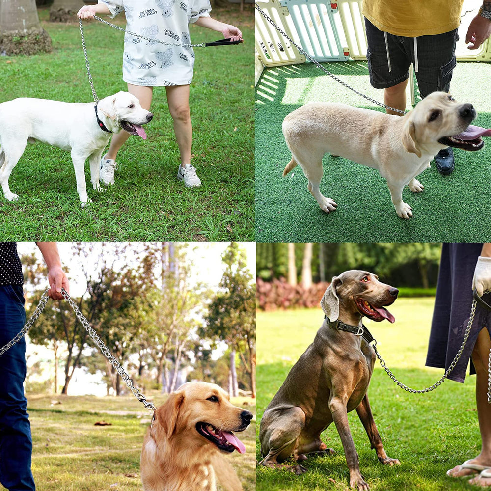 SLE heavy chain leash keeps dogs secure during walks and runs.