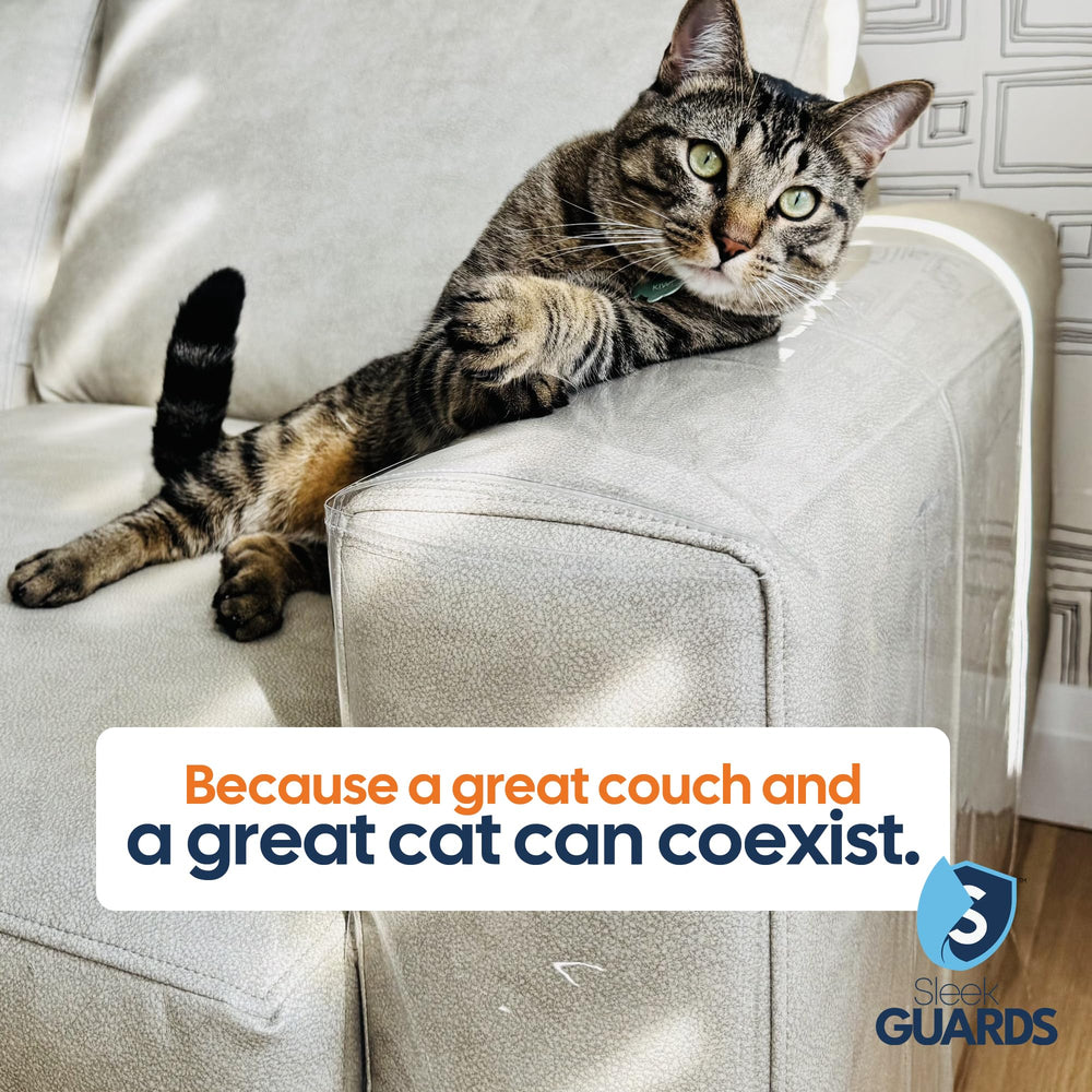 Packaging shows Sleek Guards all-in-one scratch solution.