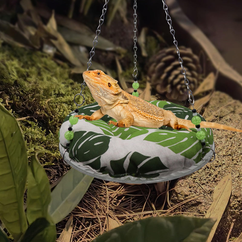 Slepceub reptile hammock swing offers a versatile resting and play area inside the terrarium.