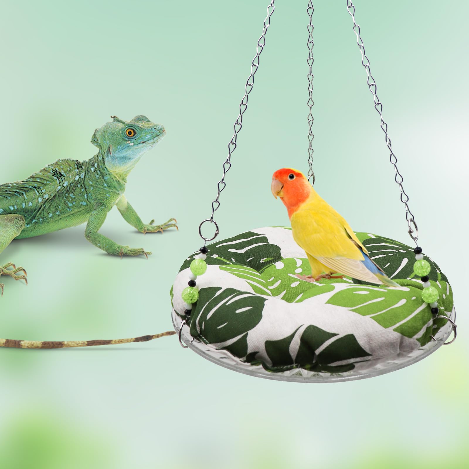 Slepceub window perch sunbath promotes natural warmth and sun exposure for reptiles.