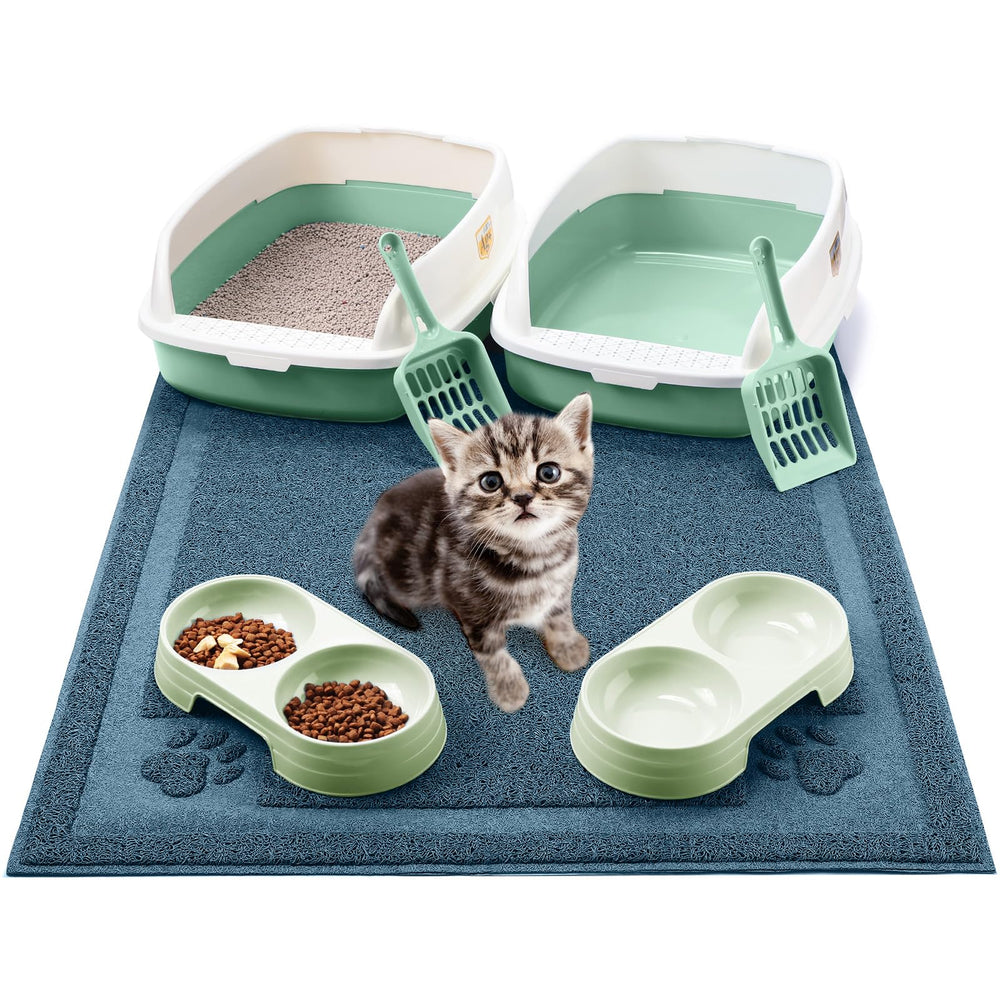 Sliner kitten litter box with low entry design for easier training