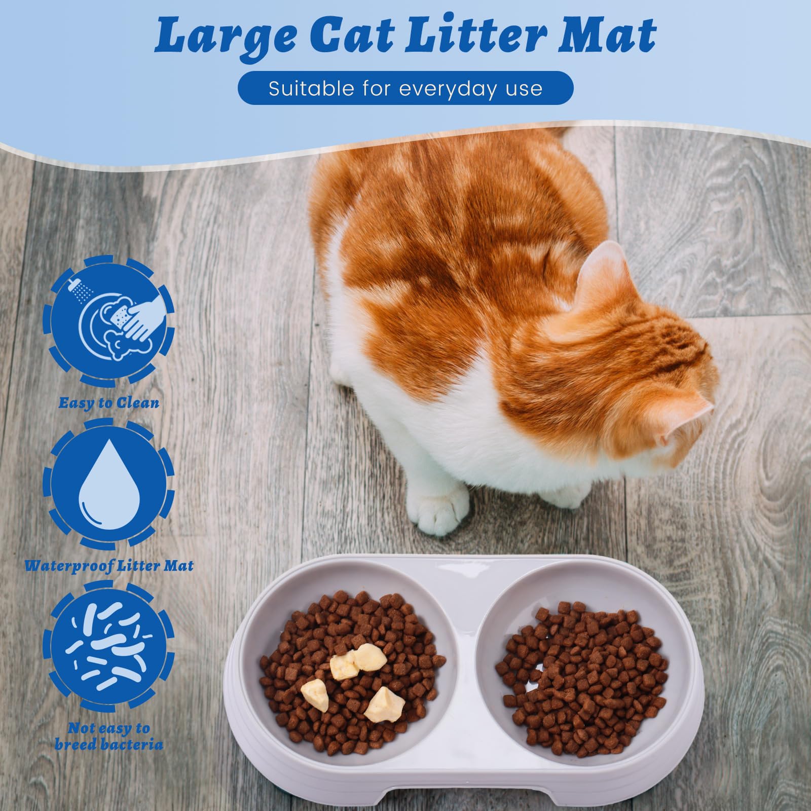 Sliner non-toxic PP bowls material detail for safe daily use.