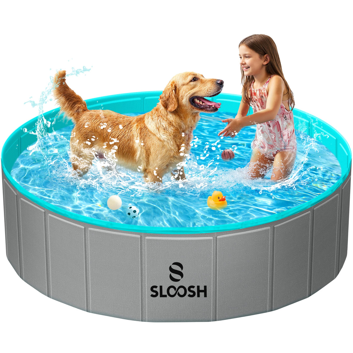 SLOOSH foldable dog pool in use with a medium dog cooling off safely.