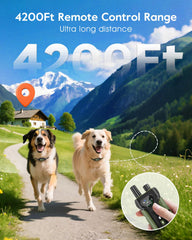 SLOPEHILL collar with night light for nighttime visibility during walks