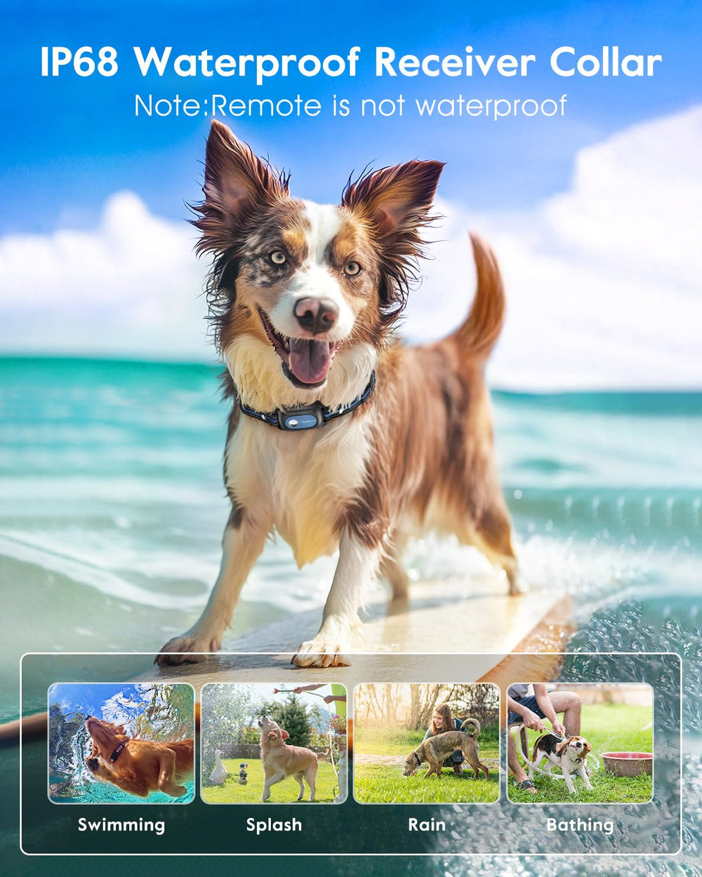 SLOPEHILL adjustable strap fits 8–26 inch dogs of varied sizes.