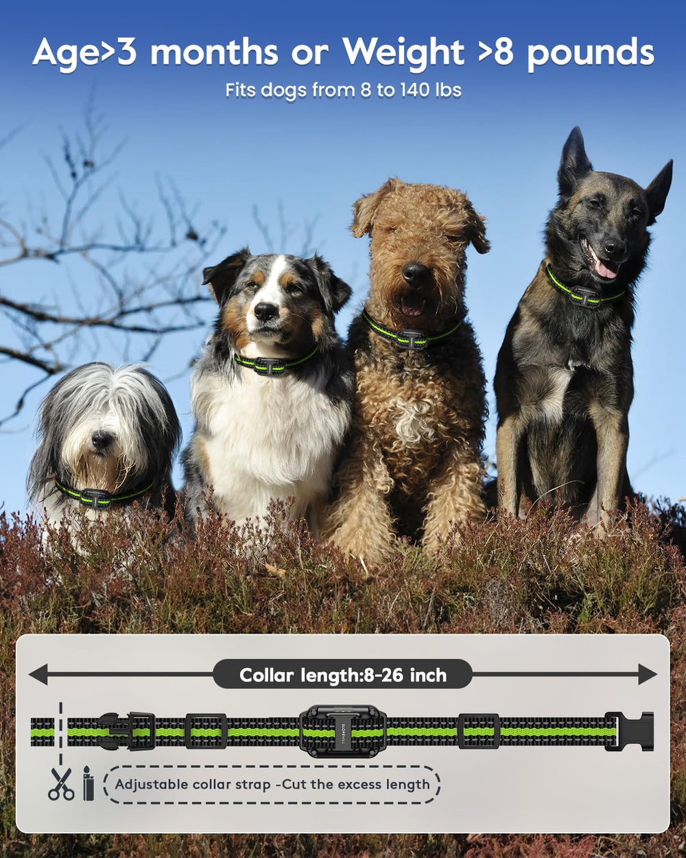 SLOPEHILL three-channels feature enables training multiple dogs with one remote