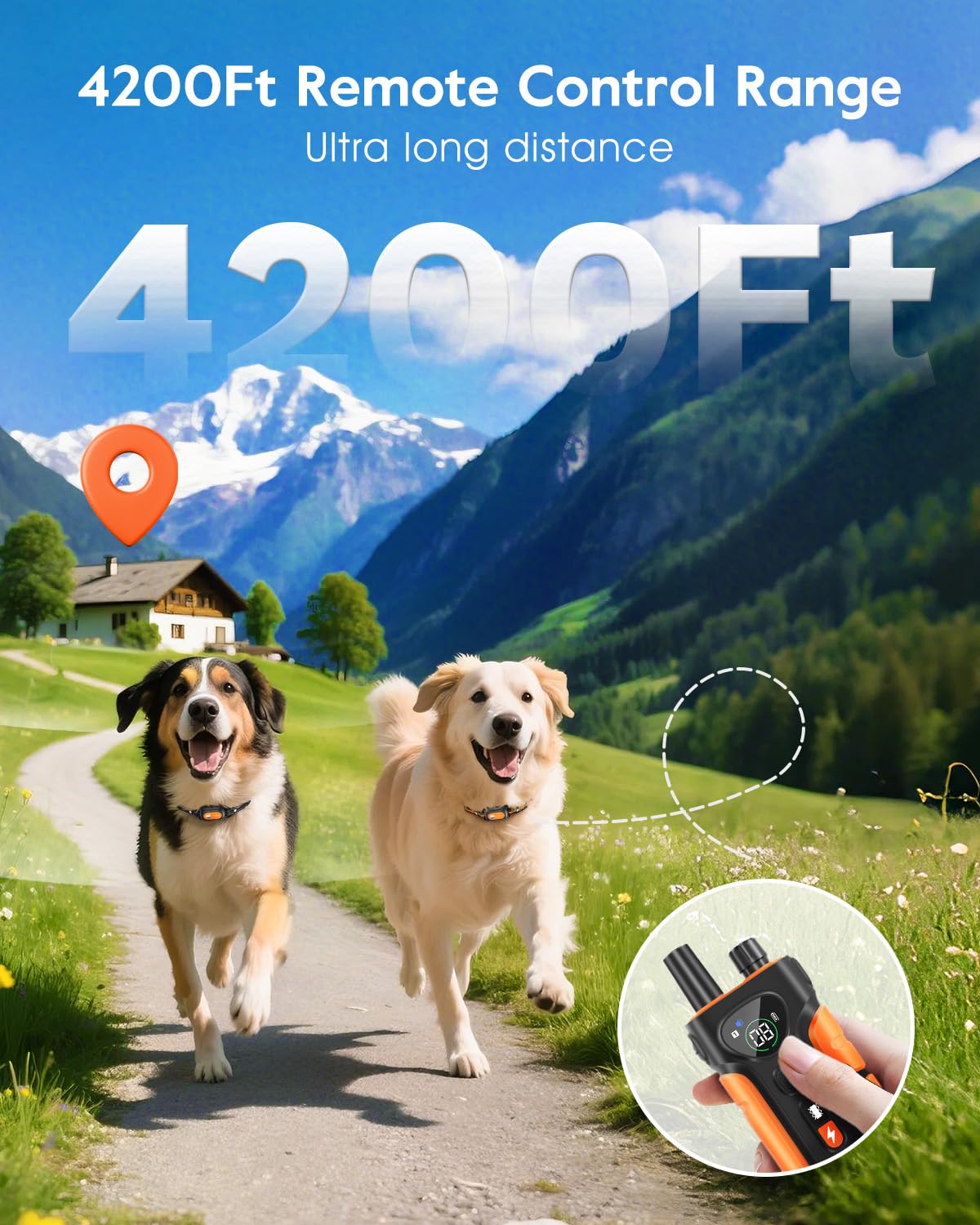 SLOPEHILL remote with two channels for two dogs training.
