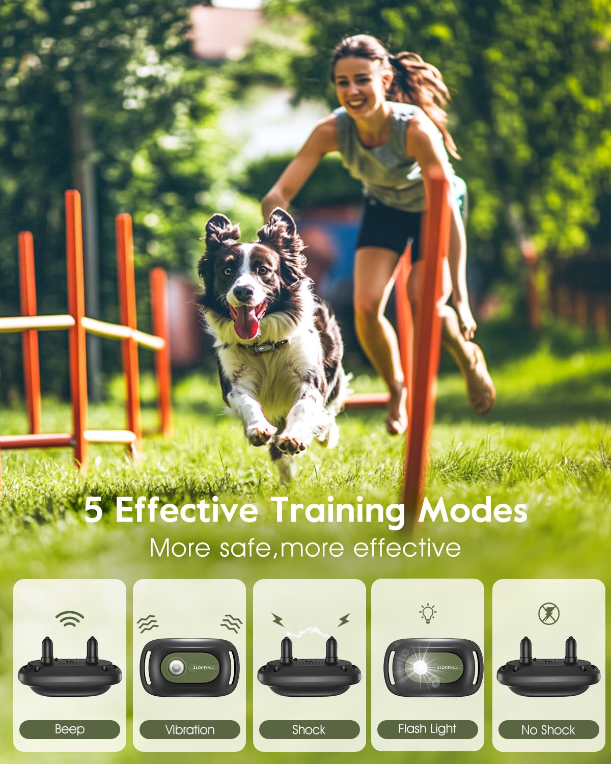 SLOPEHILL two-dog training setup in a park setting