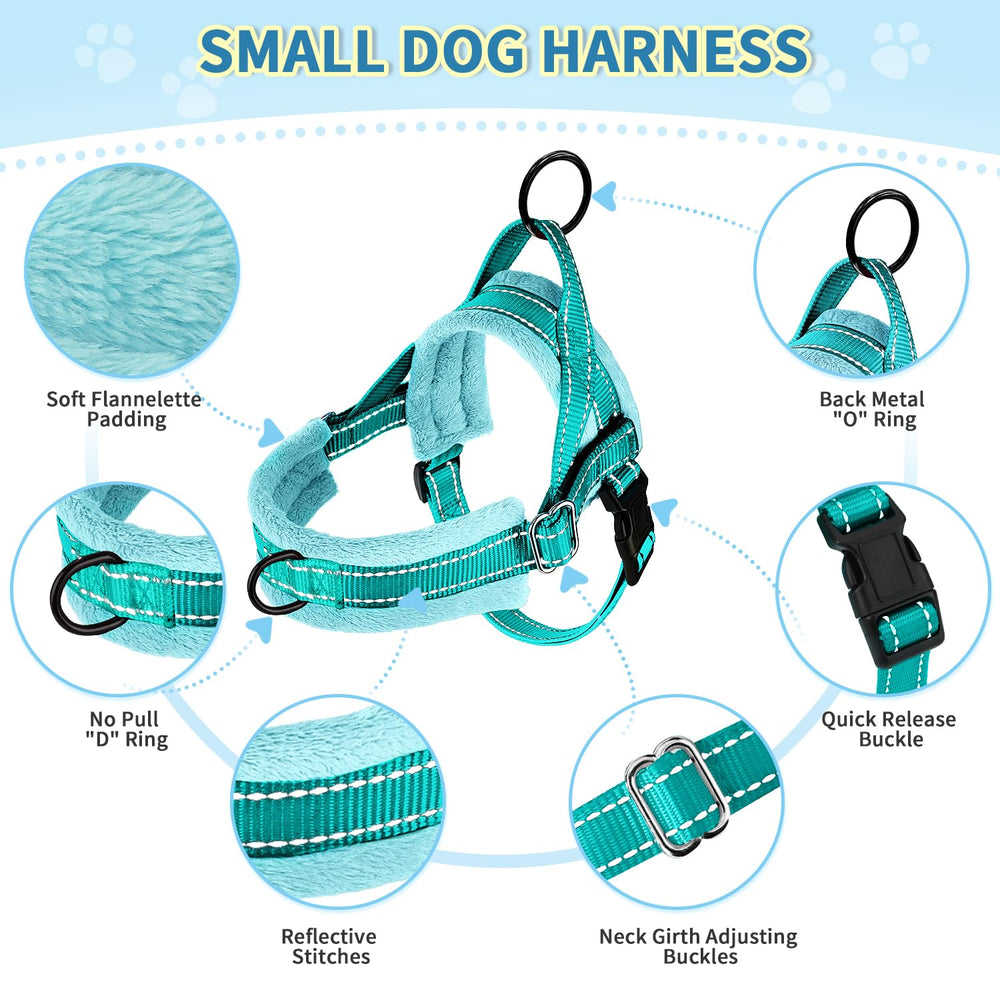 SlowTon 4 ft nylon leash with bungee for reduced shocks