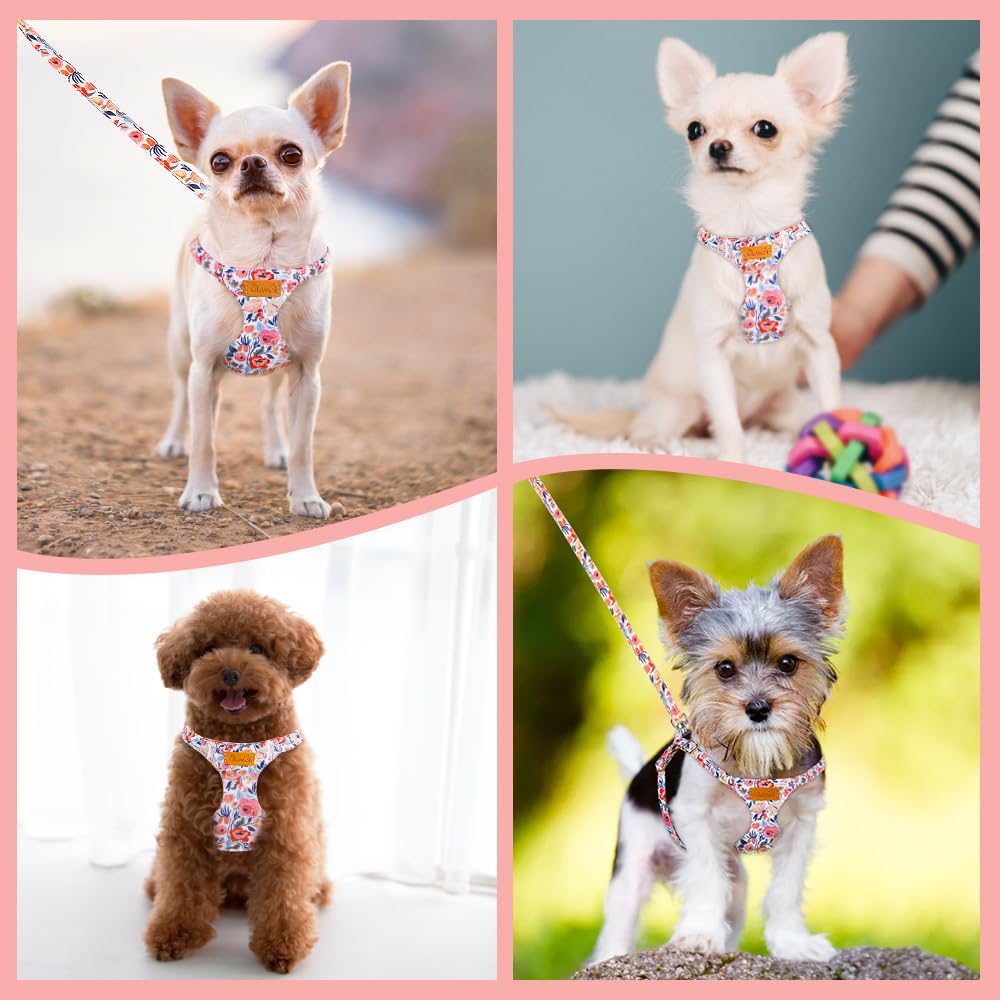 SlowTon adjustable harness straps ensure a secure fit for small to medium dogs.