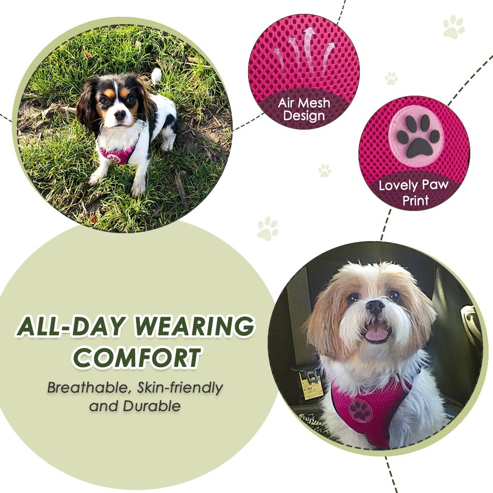 SlowTon breathable mesh chest vest for pets during car rides