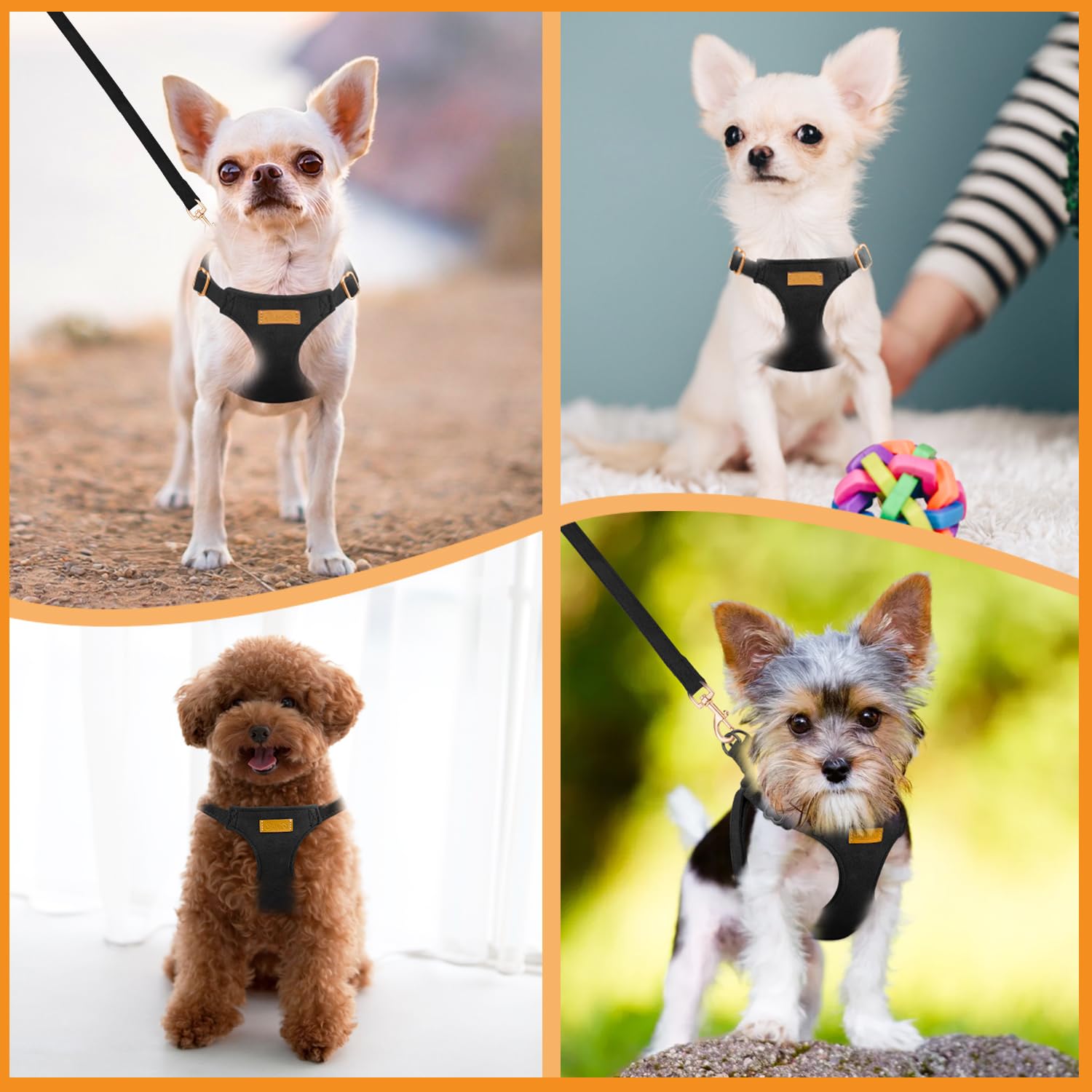 SlowTon adjustable straps grow with your puppy for versatile everyday use.