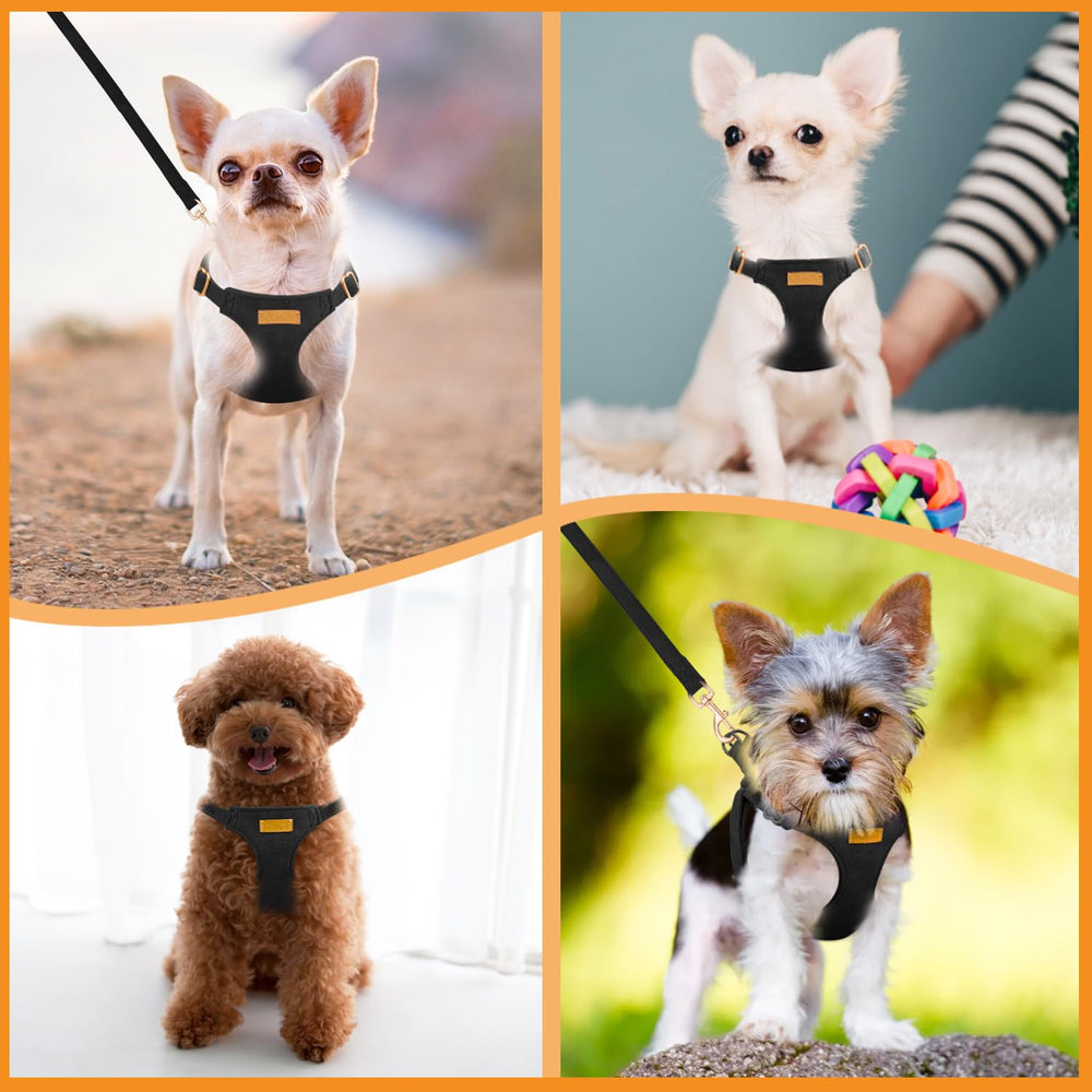 SlowTon adjustable straps grow with your puppy for versatile everyday use.