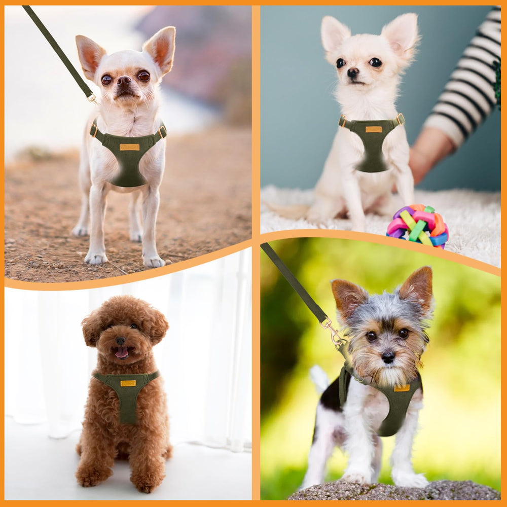 SlowTon no-pull harness includes a leash for calm, controlled outings.