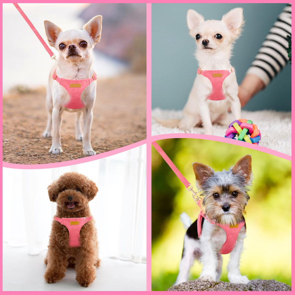 SlowTon harness size chart demonstrates XXS fit for tiny dogs