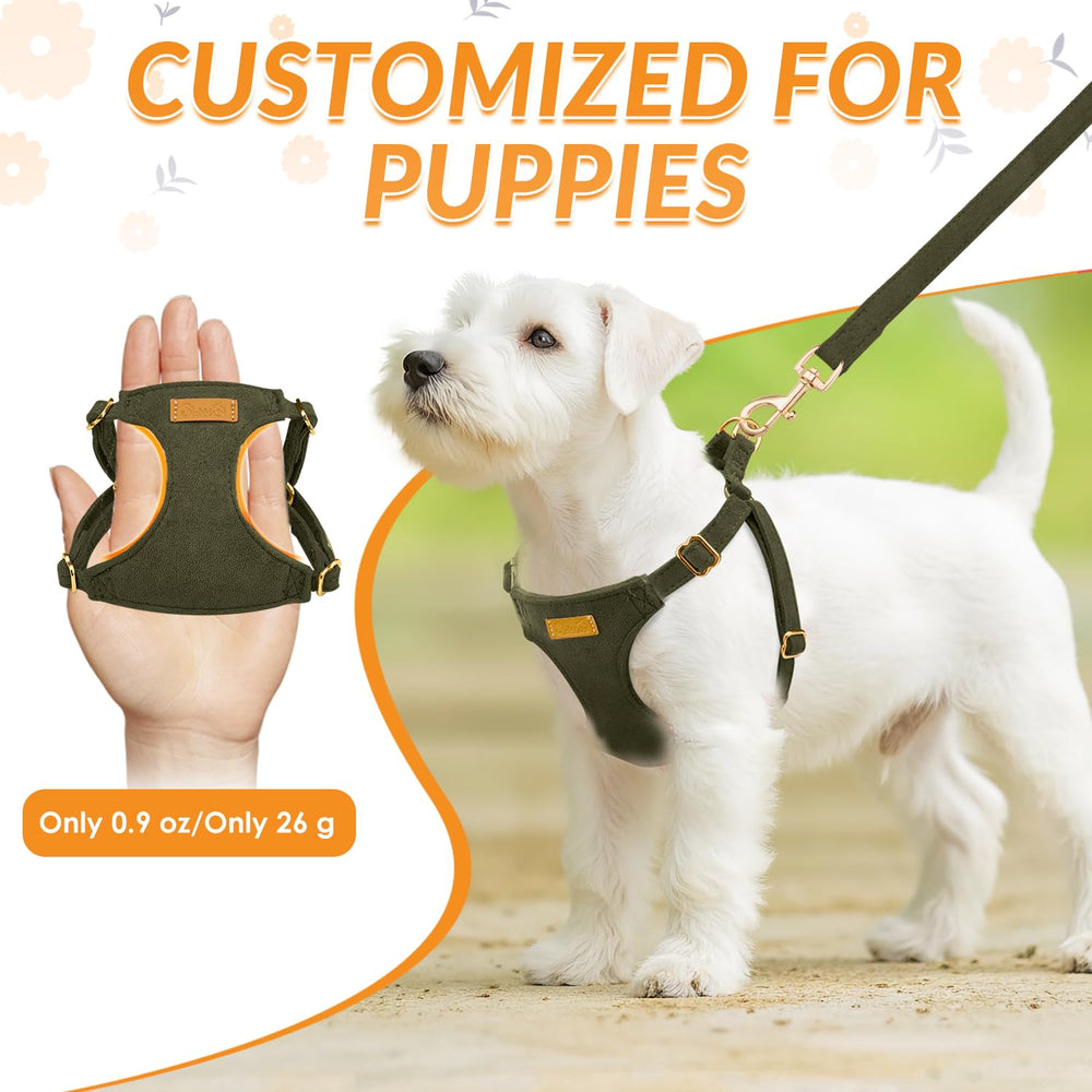SlowTon harness with soft cotton suede for gentle skin contact on small dogs.