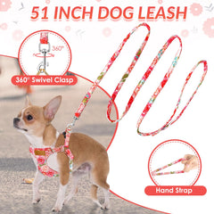 SlowTon XXS Pink Rose harness with leash attached for tangle-free walks