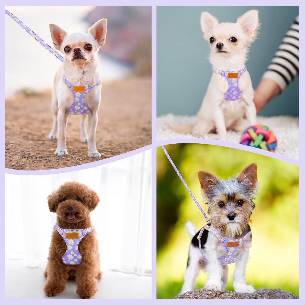 SlowTon packaging image featuring the XXS Purple Daisy harness and leash.