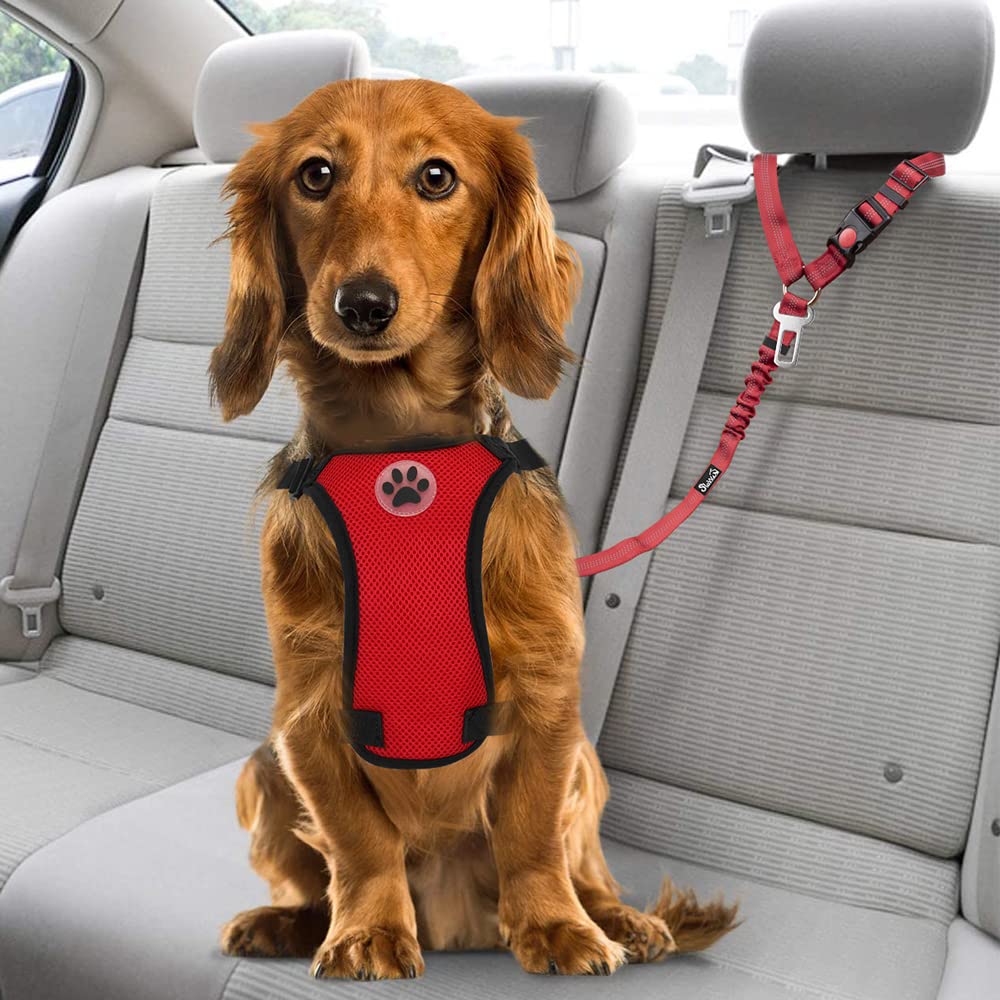 SlowTon two-pack expands travel safety options for pets