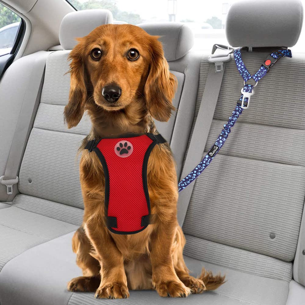 SlowTon two-pack keeps two dogs secured on trips.