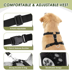 SlowTon elastic bungee closeup emphasizes shock absorption during sudden movement.