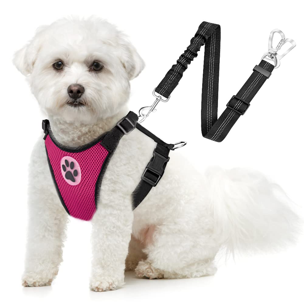 SlowTon dog seatbelt harness front view in car for safe travel