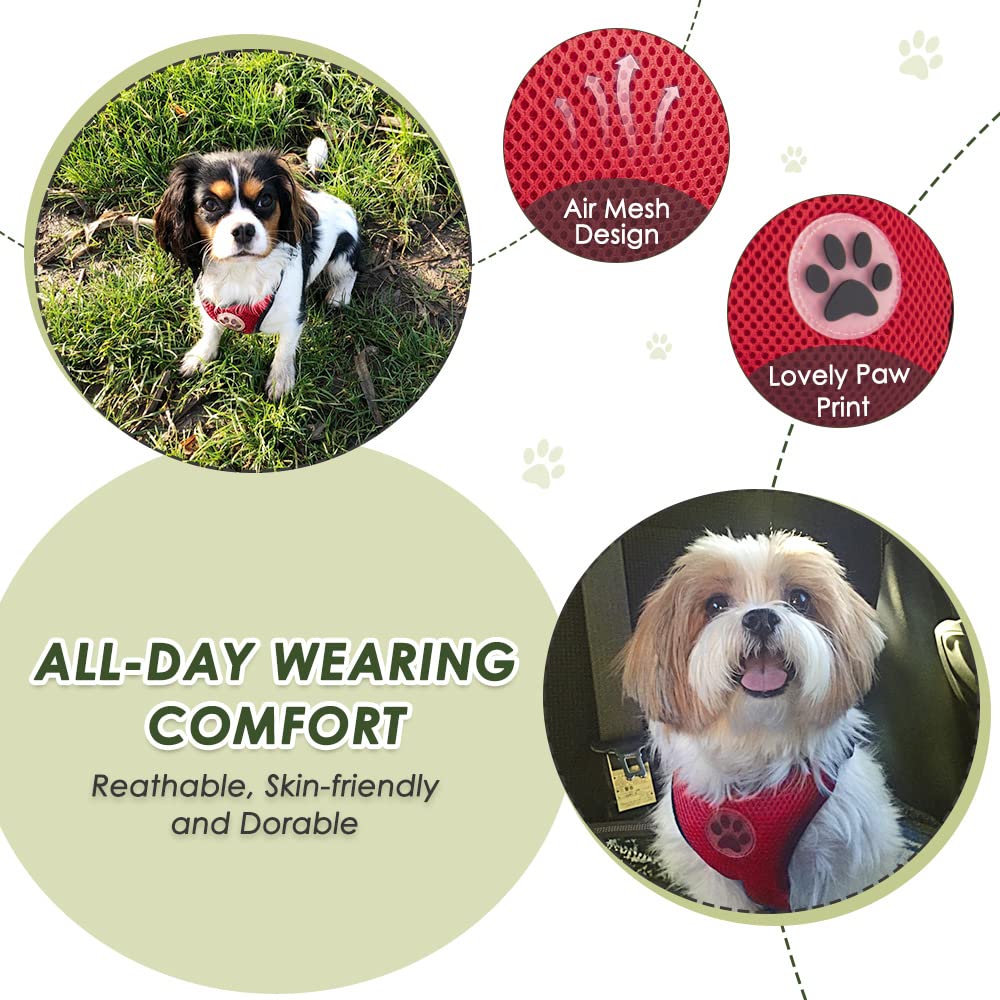 SlowTon dog seat belt harness on dog in car demonstrates safety and comfort.