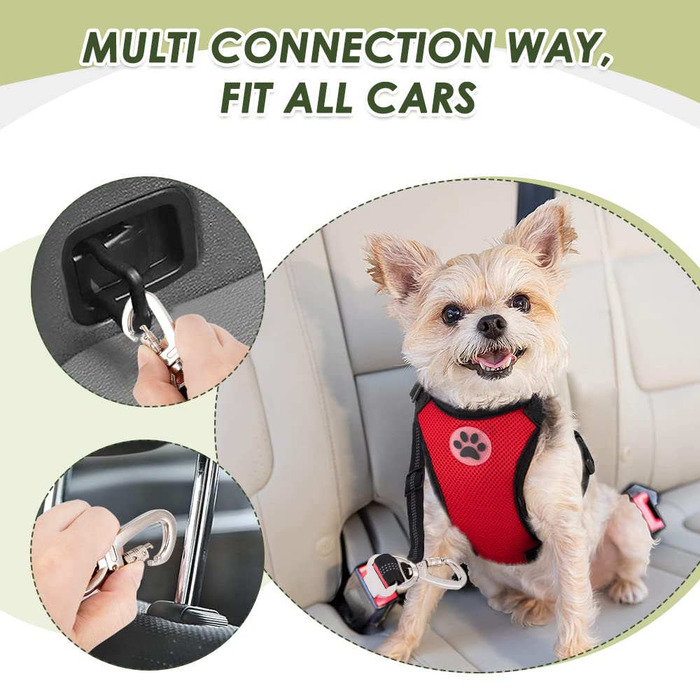 SlowTon durable packaging image communicates long-lasting product quality.