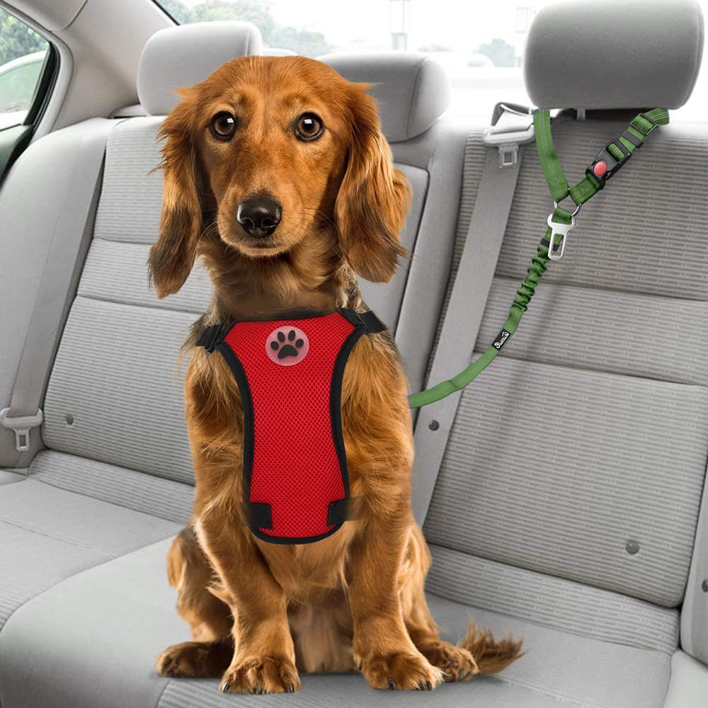 SlowTon two-pack dog seat belts for multiple cars or pets.
