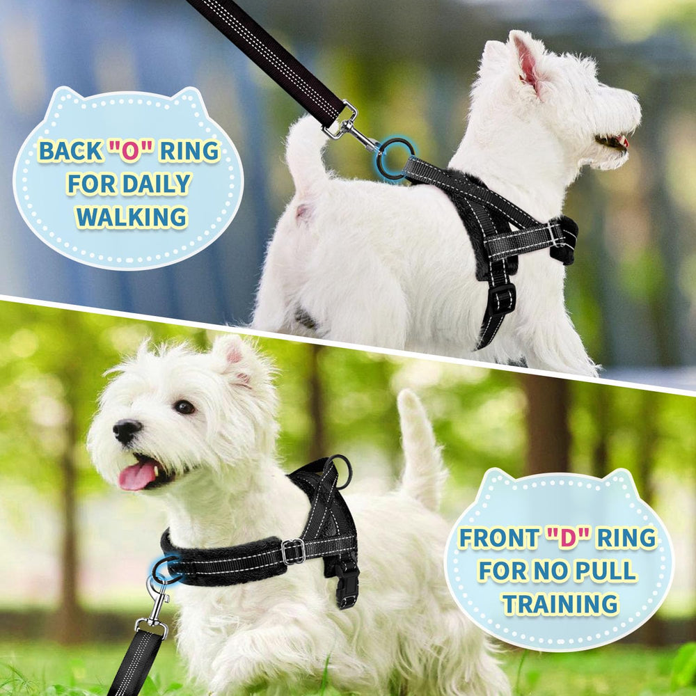 Easy-on head-strap harness for quick wear on small dogs