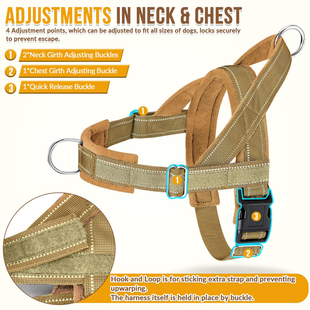 SlowTon elastic bungee leash absorbs pulls for smoother walks