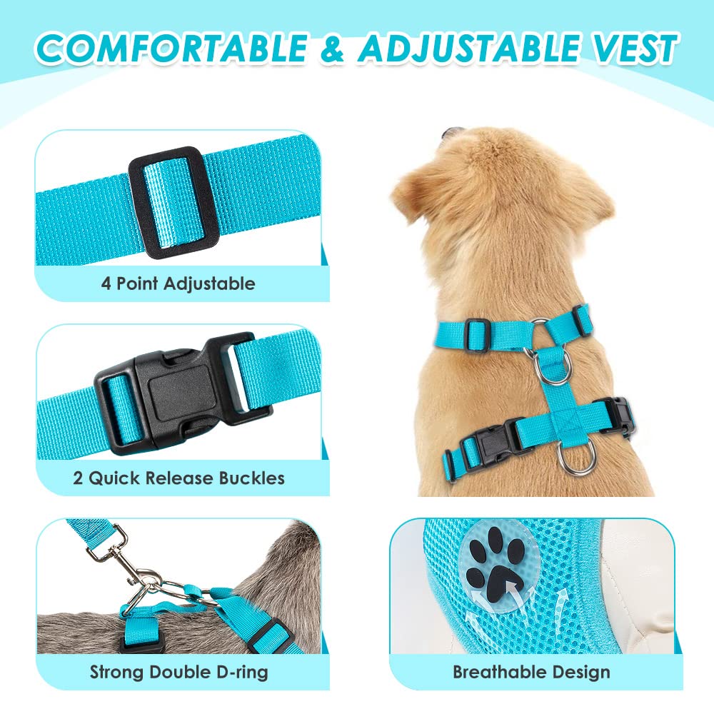 Elastic bungee tether absorbs movement while keeping your pet secure