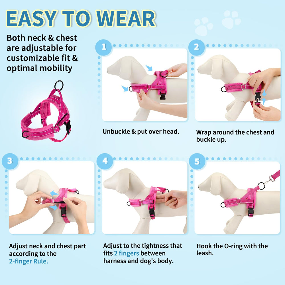 SlowTon lightweight leash reduces fatigue for small dogs.