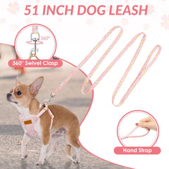 SlowTon leash with 360-degree rotating buckle to prevent tangling