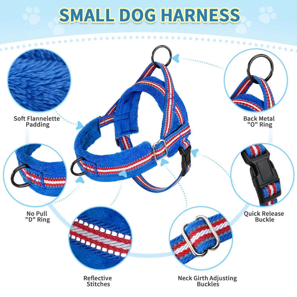 SlowTon 4ft nylon leash with bungee for shock absorption